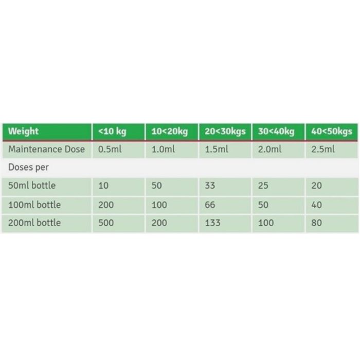 4CYTE for Dogs - Epiitalis Forte - Pet Supply